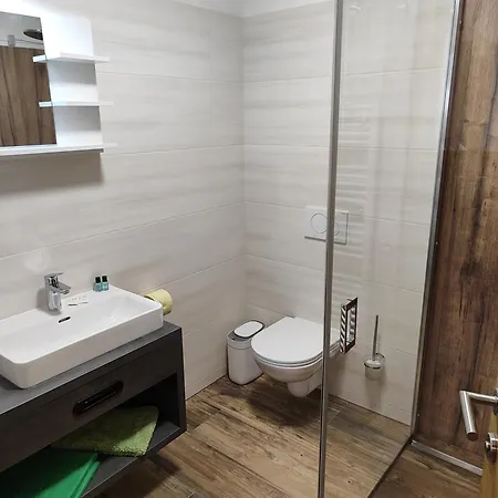 Hotel-bad Goisern ホテル バート・ゴイーザーン